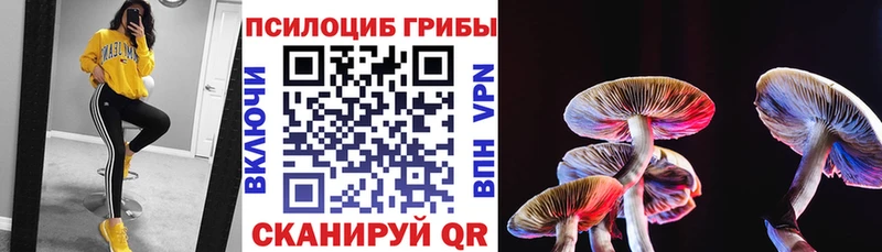 Псилоцибиновые грибы Magic Shrooms  Казань 
