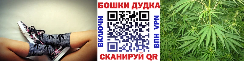 Шишки марихуана сатива  как найти закладки  площадка какой сайт  Казань 